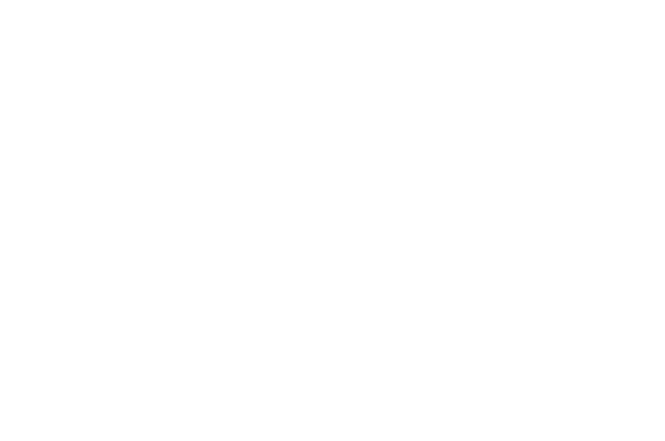 DJ RA1 logo – Bollywood DJ Sydney